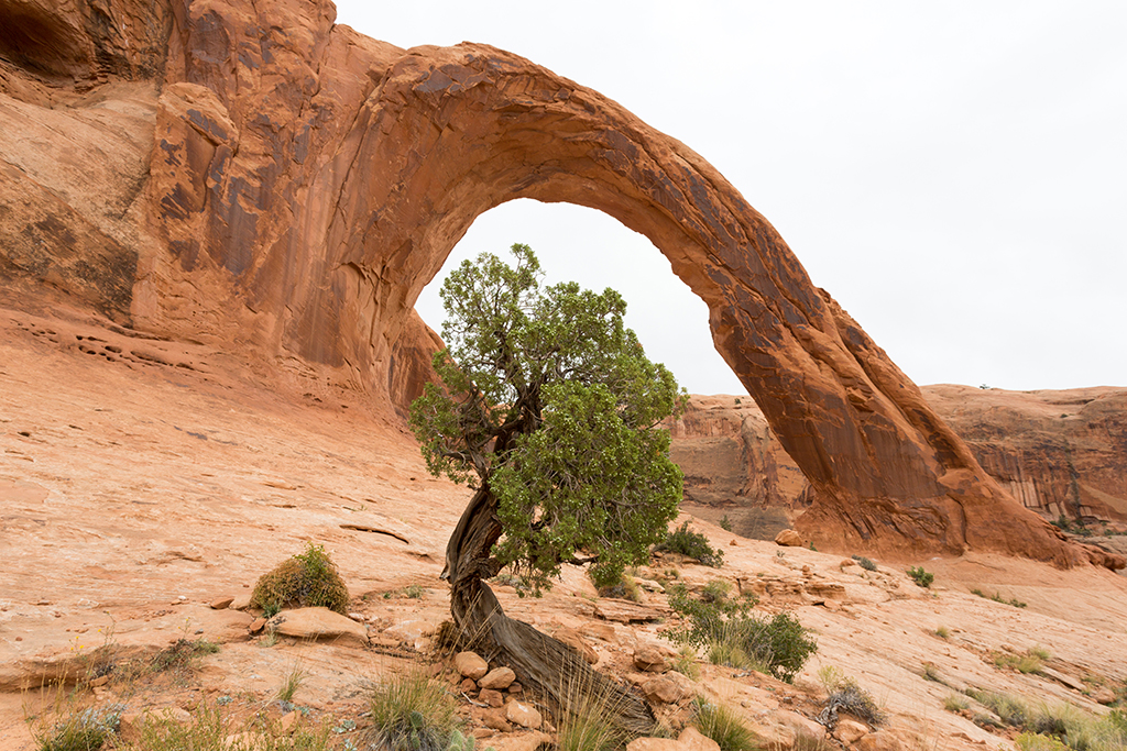 10-08 - 02.jpg - Corona Arch